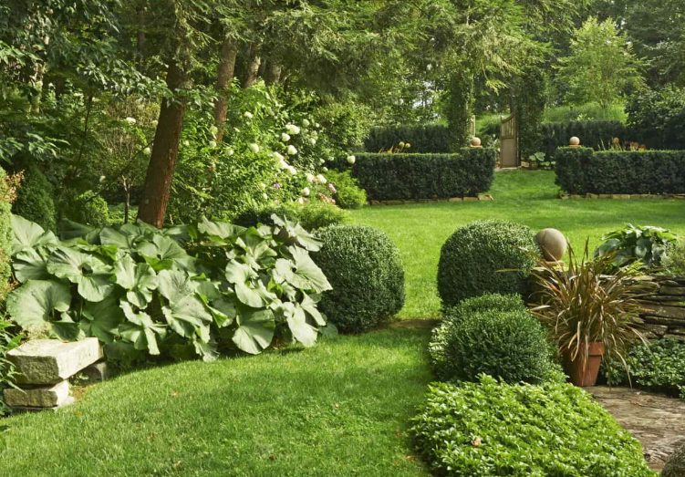 Lush backyard relaxation area